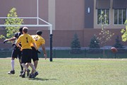 OTFL Gallery Image